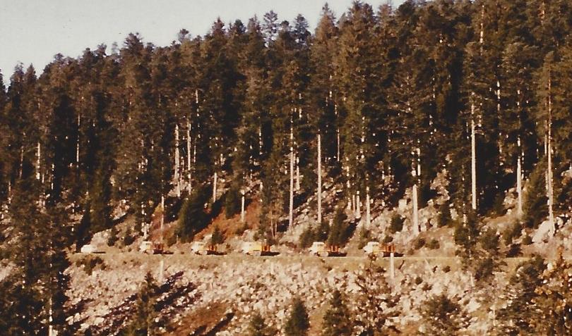 Vibratoren Black Forest